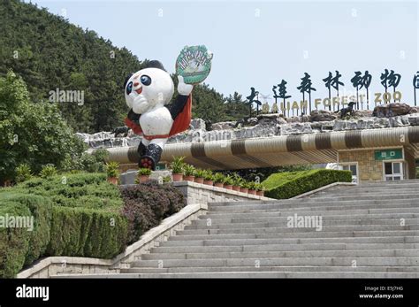 大連動物園有哪些：探討其特色與魅力